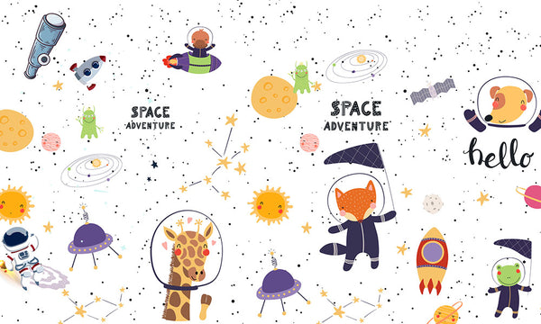 Animals in space