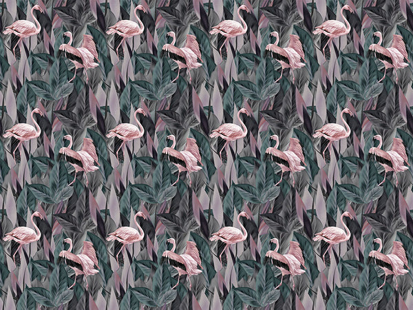 Tropical flamingo