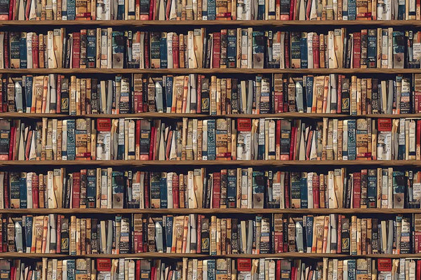 Shelves Full of Books