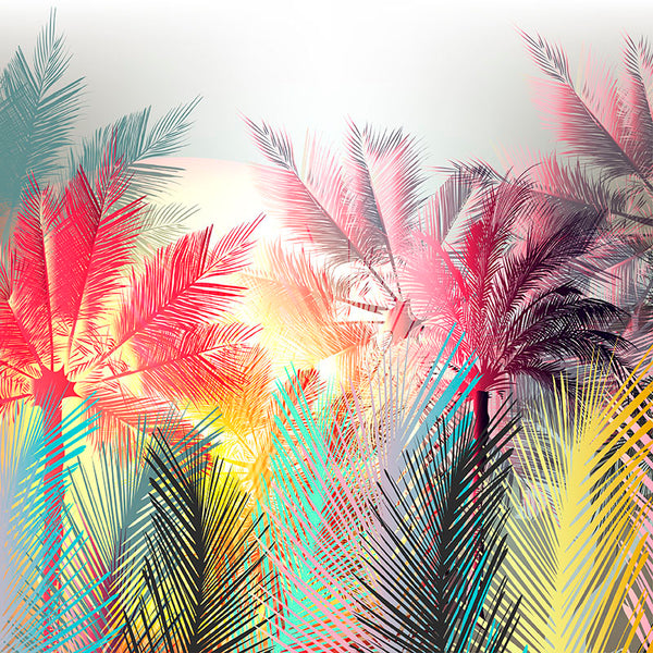 Colorful jungle palm trees