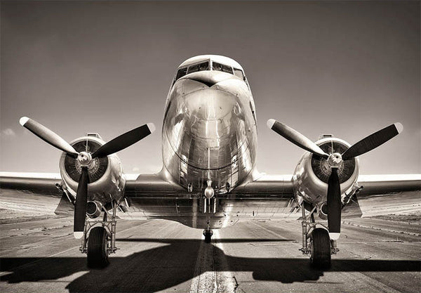 Illustration of the front of an airplane in black and white decorative vinyl