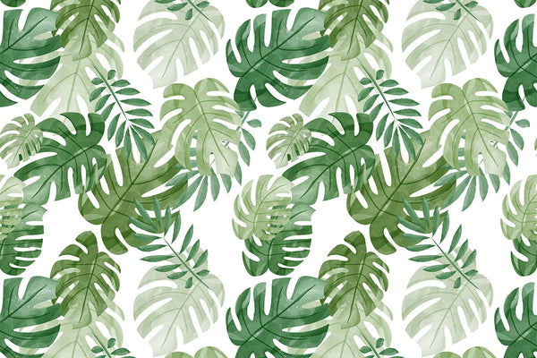 Green watercolor Monstera leaves wall sticker wallpaper