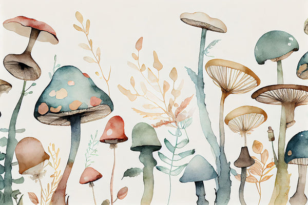 Enchanted Forest Floor A Watercolor Collection of Mushrooms