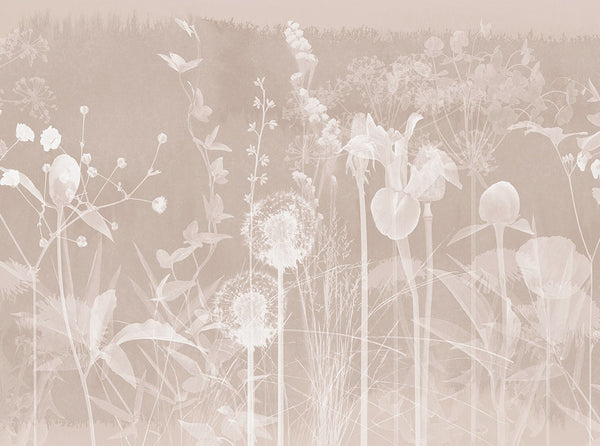 Pastel Tones Dandelion Floral Beauty