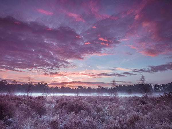 Aurora Over the Mist a Dawn in Lilac Tones