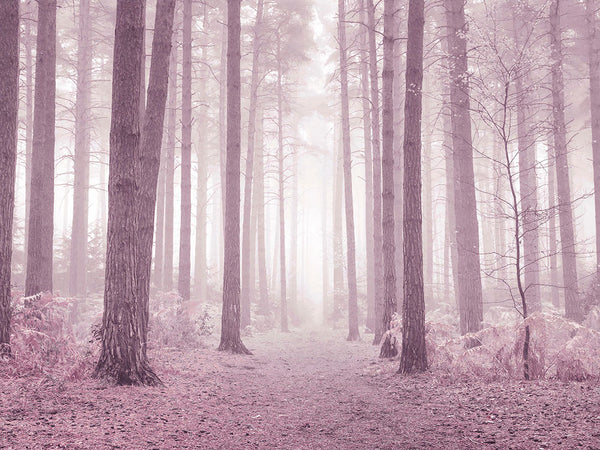 Trees in a Pink Forest