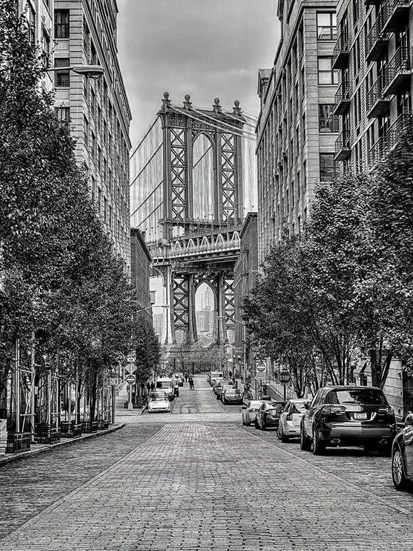 Path to the Urban Icon Scenes from the Brooklyn Bridge