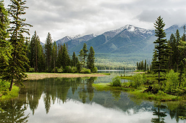 Lakeside Landscape Serenity among Pines and Mountains