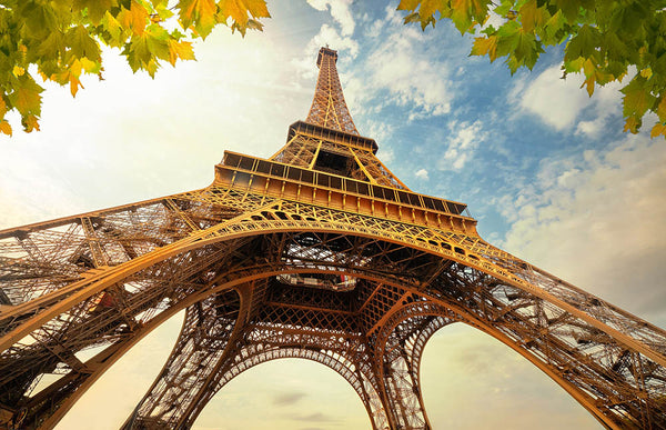 Autumn Splendor in Paris The Majestic Eiffel Tower