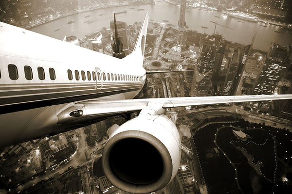 Flight over the City: A Sepia-toned Skyline