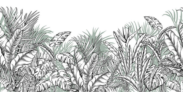 Illustration of a combination of Monsteras, banana and tropical palm leaves