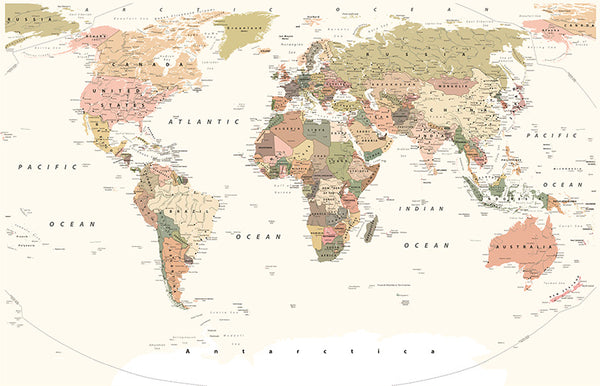 World map decorative vinyl