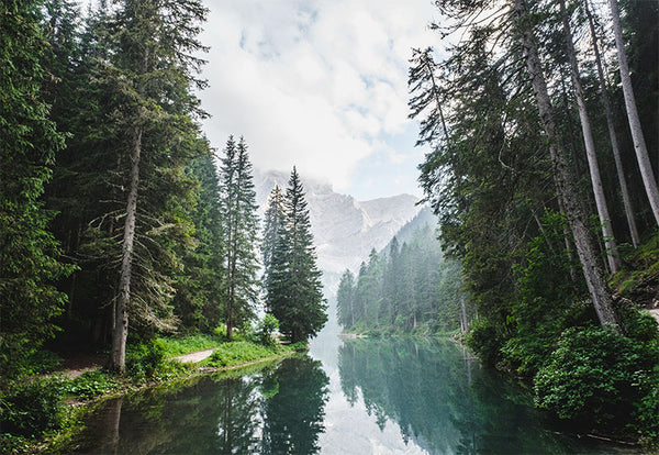 River landscape surrounded by mountains decorative vinyl