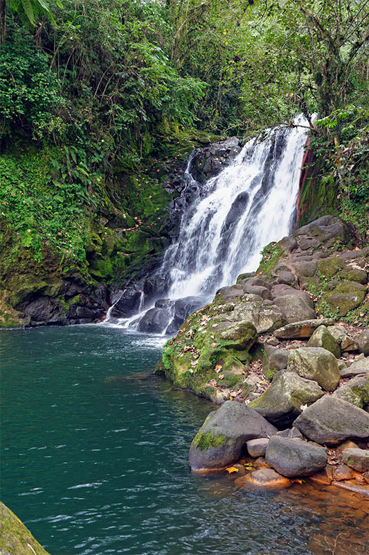 Vinilo decorativo cascada natural