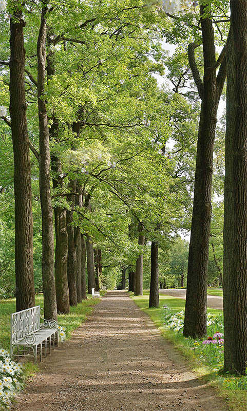 Decorative vinyl landscape with green path